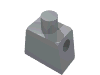 Torso Plain