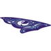Sail Triangular 16 x 23 with 3 Holes with White and Blue Ornaments and Water Power Icon Print
