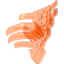 Набор LEGO SHELL W/10,2 BALL SNAP NO.1, Trans-Neon Orange