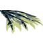 Набор LEGO WING, 182X154MM,RIGHT,CUT PATTERN,NO.1, Yellowish Green