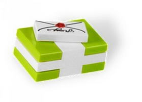 Набор LEGO Бело-зеленый подарок и письмо